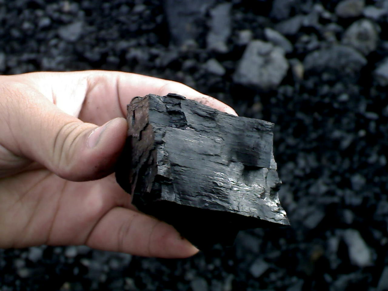 شناسایی زغال سنگ